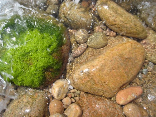 La calidad del agua de cala Vallpresona simplemente extraordinaria, cristalina, transparente