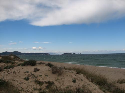Las dunas de Pals son ecosistemas protegidos creados por la acción de la tramuntana sobre la arena de la playa