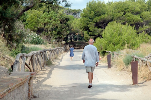 El Paseo de las Dunas es un camino de ronda arbolado que recorre la costa uniendo las localidades l'Escala y Sant Martí d'Empúries, en un ambiente natural dunar. Muy recomendable para toda la familia. 