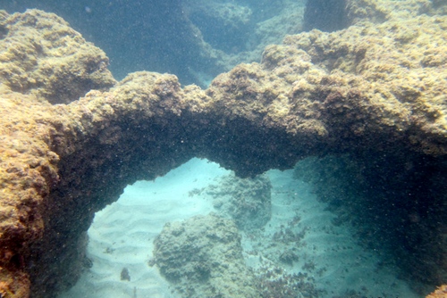 El fondo marino de la playa Rec del Molí de l'Escala contiene curiosas formaciones rocosas