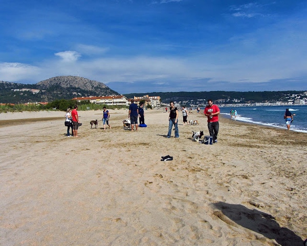 En Playa de la Platera, frecuentada por otros propietarios de perritos, nuestra mascota podrá socializar con sus congéneres en un ambiente de total libertad