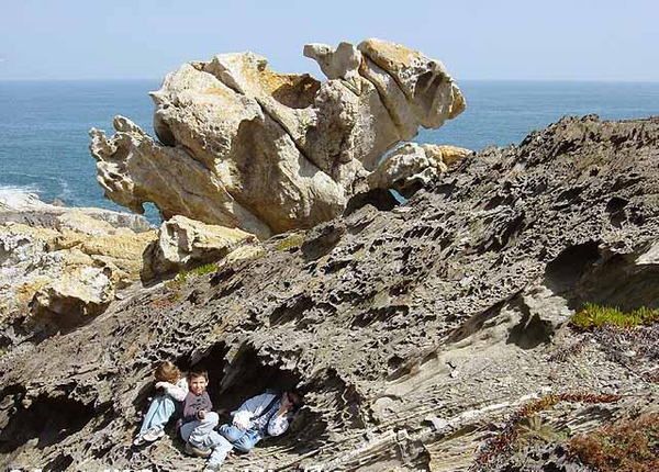 Hay un buen número de rocas zoomórficas (es decir con formas imaginariamente animales) alrededor de Cala Culleró. Es una rareza geológica que sorprende a los visitantes... especialmente a los niños que hacen volar su fantasía.