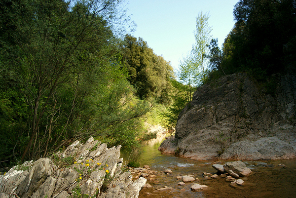 El río Muga nace en las montañas de los Pre-Pirineos y en su tramo inicial forma preciosos cañones, los más bonitos de los cuales se encuentran en la localidad de Albanyà